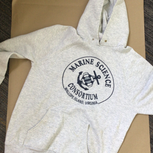 Light Gray Graphic Hoodie