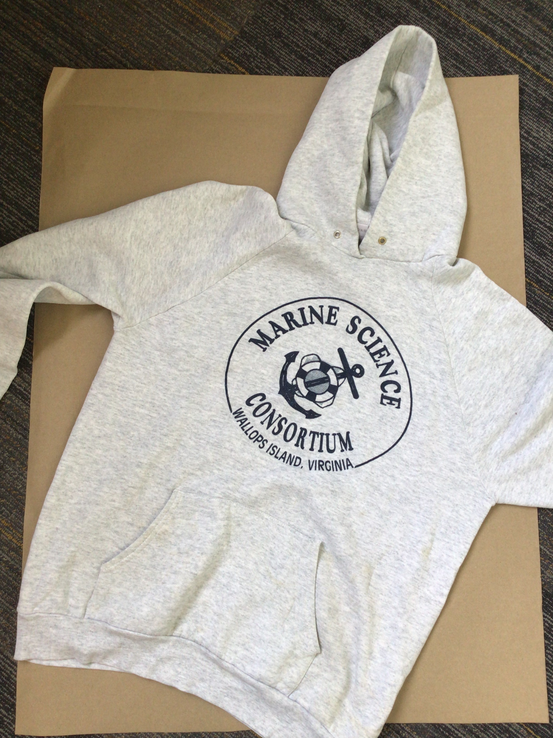 Light Gray Graphic Hoodie